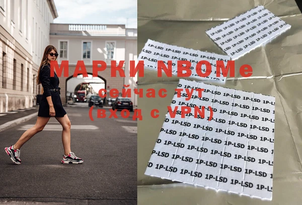 стаф Баксан