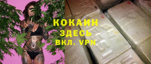 сатива Белоозёрский