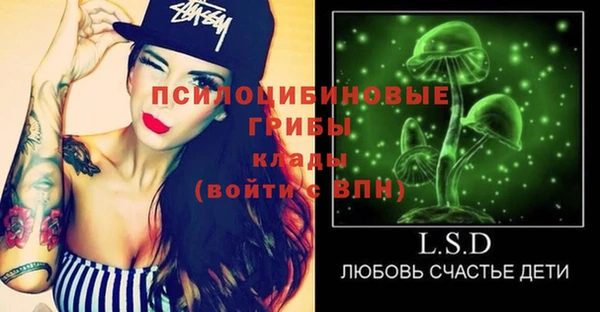 стаф Баксан